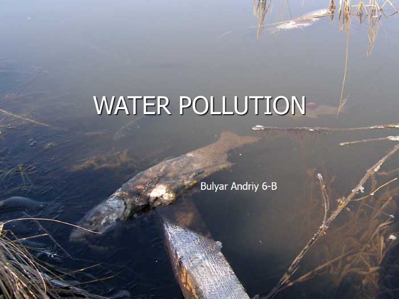 WATER POLLUTION Bulyar Andriy 6-B